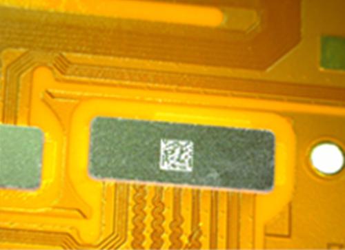 pet decapping